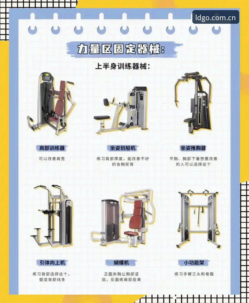 乐动体育使用教程全攻略？老用户教你如何安全快速上手LD体育官网